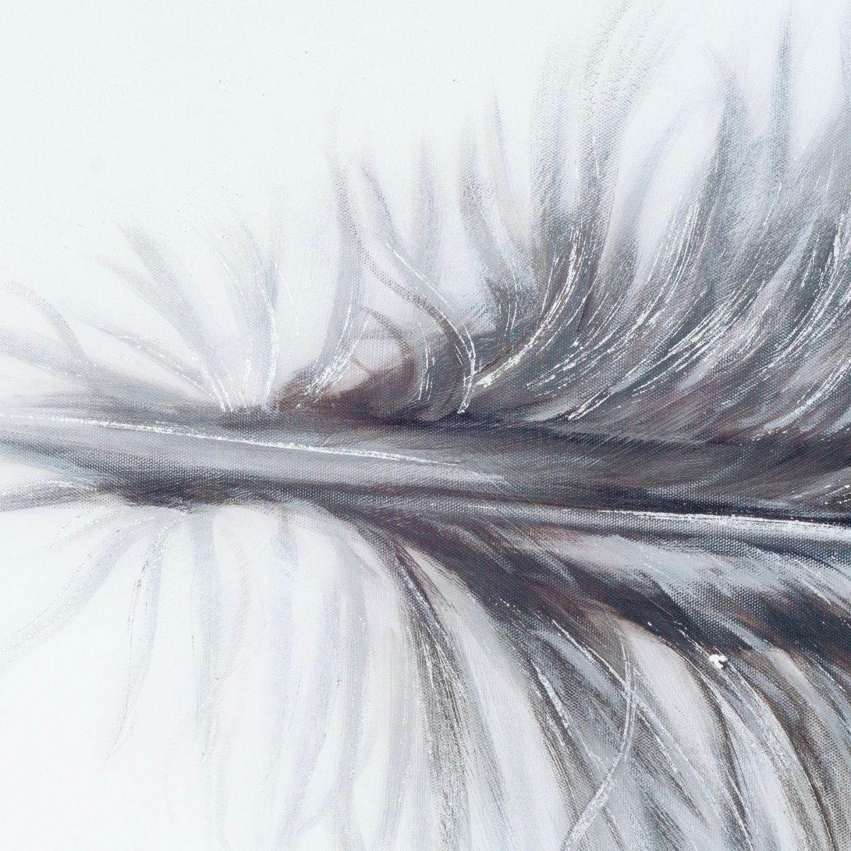 Black Striped Feather Over 3 Black Glass Frames